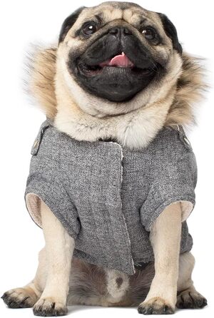 Куртка для собак Canada Pooch Alaskan Army Parka Salt & Pepper, розмір 20