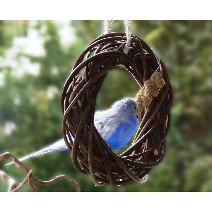 Дерев'яний іграшковий кілечко з лози для птахів (волинки, корели та ін.); Vogelgaleria®