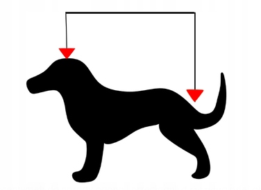 Ортопедичне ліжко для собак Lovedog, блакитне, 90 см x 60 см