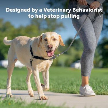 Шлея для собак PetSafe Easy Walk, анти-тягова, регульована