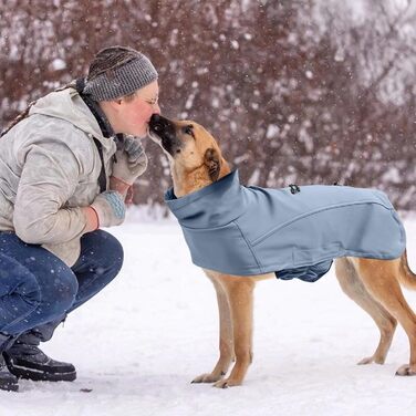 Водонепроникний зимовий одяг для собак Petcute - тепла куртка-жилет для собак з отвором для повідка (XXL, блакитний)