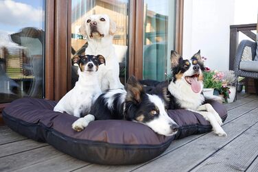 Ліжко для собак середніх порід 4L Textil KLEO, 80x60 см, темно-зелене, знімний чохол, водонепроникне, з блискавкою