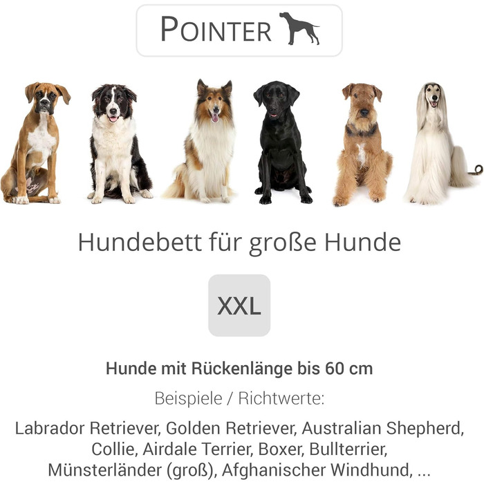Ортопедичне ліжко для собак великих порід - Pointer, з знімним матрацом, миється до 95°C, стійке до подряпин та укусів, Made in Germany (XXL 100x90 см, світло-сірий)