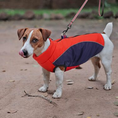 Водонепроникна тепла куртка для собак Antel, червона, розмір S, з D-порогом