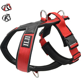 колір: гниль