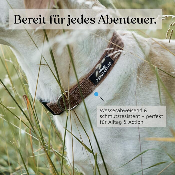 Нашийник для собак Freudentier: м'який, з неопрену, світловідбиваючий, міцний. Підходить для собак малих, середніх та великих порід. Колір: шоколадний, розмір: 35-50 см