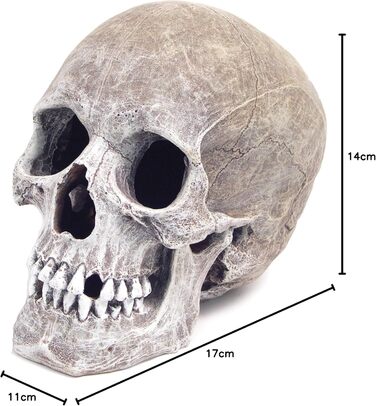 Декорація для акваріума Blue Ribbon Rosewood - Реалістичний череп людини, 15.2 x 20.3 x 15.2 см