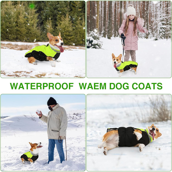 Зимова куртка для собак, водонепроникна, тепла, м'яка, вітрозахисна. З облаштуванням для повідка, світловідбиваюча, з блискавкою та регульованою застібкою. Для малих та середніх собак (Зелений, XL)