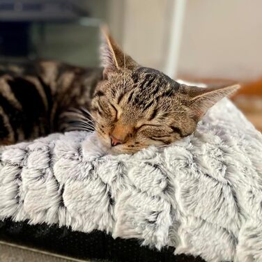 Самогріюча ковдра для котів, килим-грілка для тварин, 60x45 см, білий