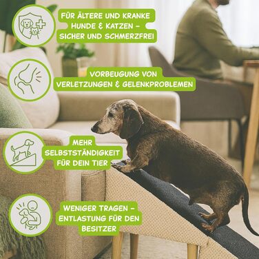 Сходи для собак Outentin – розкладні, з неслизьким покриттям, для маленьких та великих собак, до дивану та ліжка, стабільні, складані, 36 см, сірий графіт