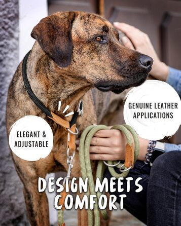 Нашийник для собак Rudelkönig Emma - Елегантний нашийник-стоп для собак з шкіри та нейлону - ø 12 мм - Зручний навчальний нашийник для великих собак (6, Чорний)