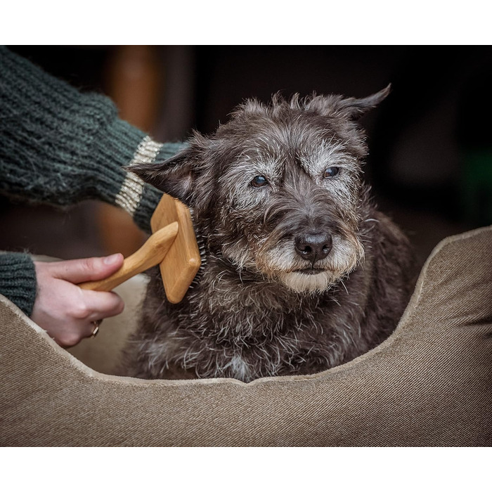 М'яка бамбукова щітка для грумінгу тварин Mikki 6280033 з кулькоподібними наконечниками для собак і котів, велика, 99 г (коричнева)