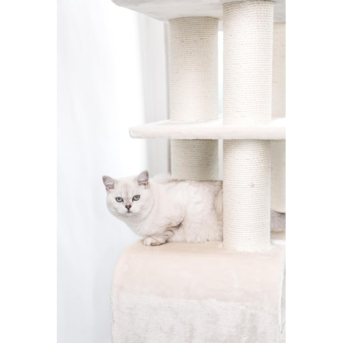 Дряпка для великих котів Petrebels Maine Coon XXL Route 180 см, беж/крем, стовпи Ø12/15 см натуральний сизаль, дизайн для мейн-кунів