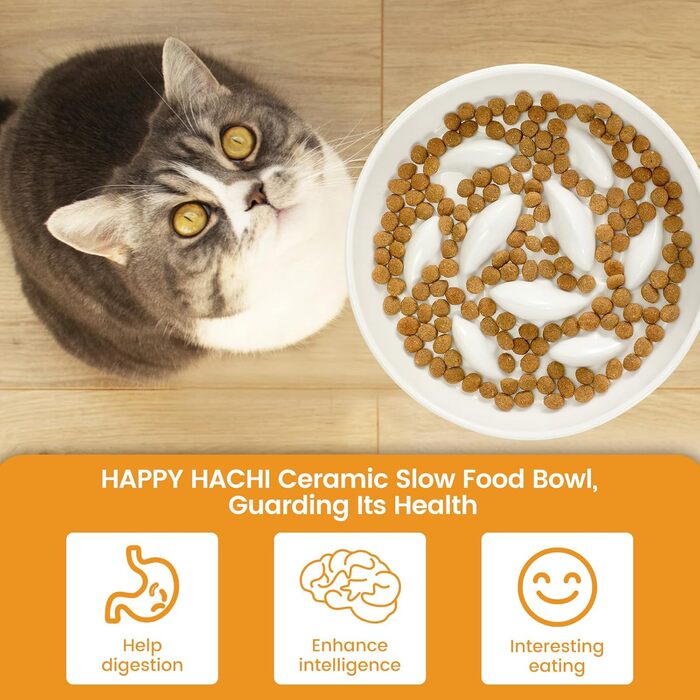 Миска для котів Happy Hachi з підняттям, керамічна, для повільного годування, протиковзаюча, для котів та маленьких собак (зелена)