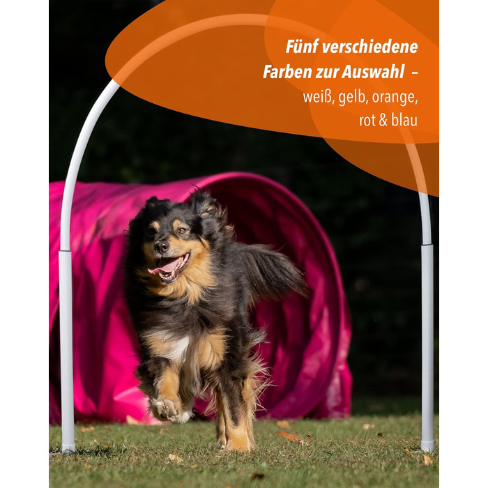 SPORTIKEL24 Superhund Hoopers Hoop – іграшка для аджиліті собак, кільця для хоперс, пластик, блакитна основа з кольоровими арками, VDH-сертифікована, гнучка, стійка до погодних умов (блакитний/жовтий)