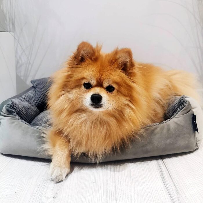 Ліжко для собак великих порід 120x100 см, сірого кольору. Зручне, миється, м'яке, з корзиною. Ідеальне для великих собак.