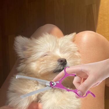 Професійні ножиці для грумінгу собак та котів BESPORTBLE - ножиці з нержавіючої сталі для догляду за домашніми тваринами