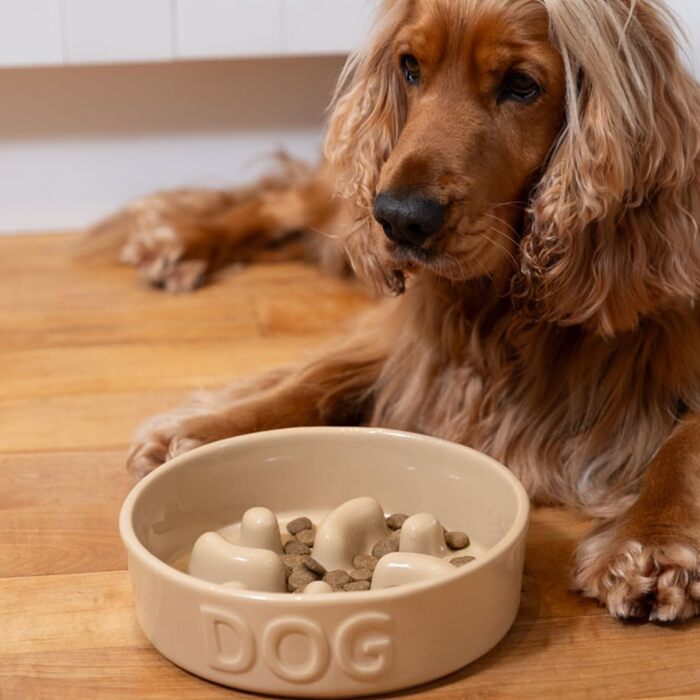 Миска для собак Mason Cash Cane Keramik для повільного годування, кераміка, підвищені борозни, для здорового травлення, довговічна, придатна для миття в посудомийній машині, для собак маленьких, середніх та великих порід