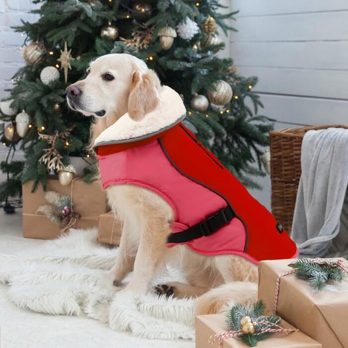 Зимова куртка для собак Emust, тепла та вітронепроникна, помаранчевого кольору, для середніх собак, розмір M