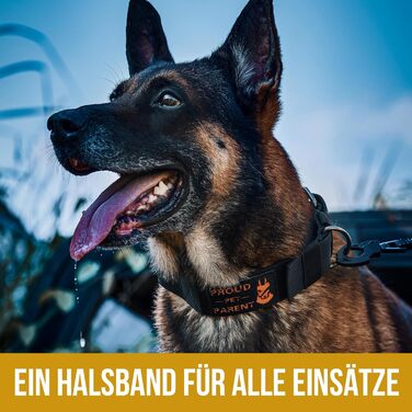 Нашийник для собак OneTigris 5 см з ручкою та патчем, чорний, розмір L