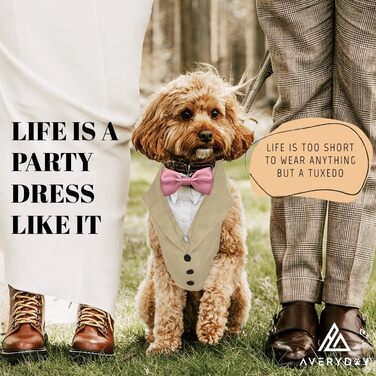 Smoking для собак: стильний костюм для собак середніх та великих порід XL. Костюм для свят, вечірок, косплею, Хелловіну, весілля. Бежевий smoking з рожевою краваткою.