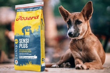Корм для собак із чутливим травленням Josera SensiPlus з качкою, 12,5 кг
