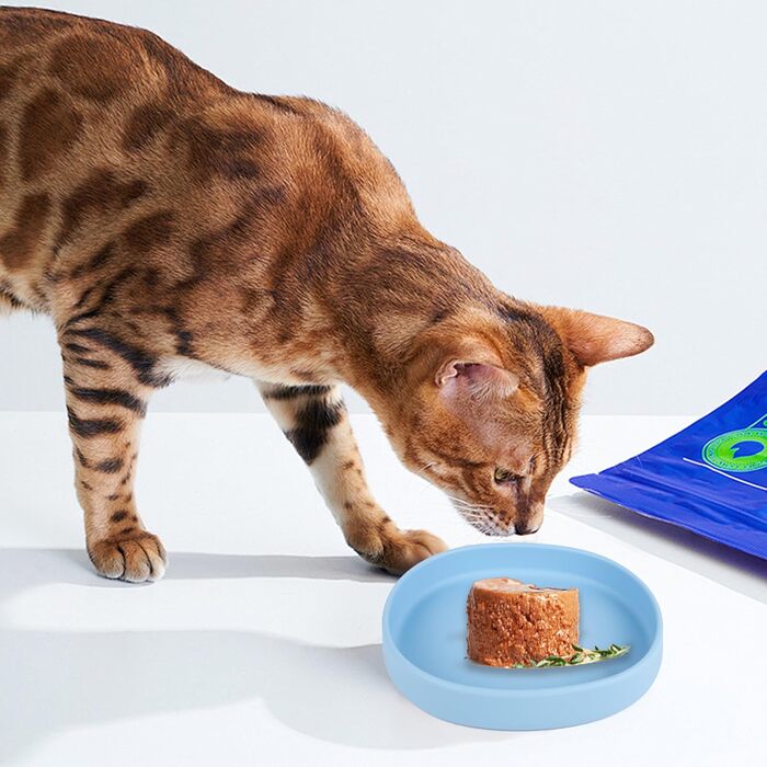 Миски для котів та собак Bebeibon: силіконові, неслизькі, 330 мл, 2 шт. (Блакитний)