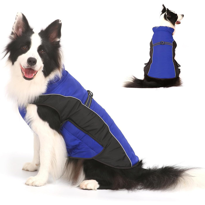 Зимова жилетка для собак - тепла жилетка для собак, курка для собак, теплий одяг для домашніх тварин, для лижного спорту, без рукавів, з бавовни, з підкладкою для цуценят, маленьких, середніх та великих собак (2XL (31.7+ KG | 60cm Neck Girth), Синій)