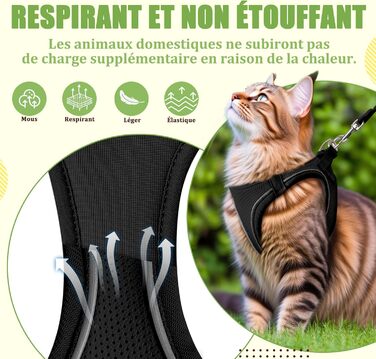 Нашийник для котів Qianruida з повідком, регульований, зручний, дихаючий, світловідбиваючий (Чорний XS)