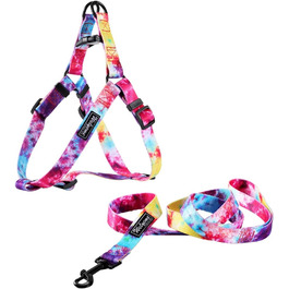 Нашийник та повідець для собак Tie Dye, комплект для малих, середніх і великих порід, райдужний дизайн