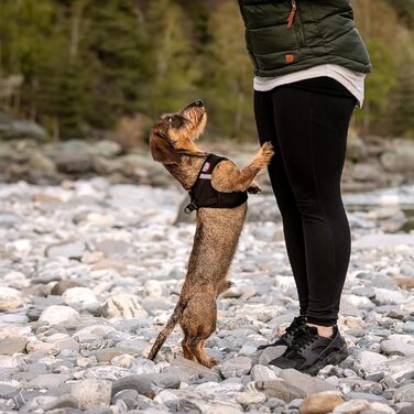 Шлейка для собак Curli Clasp Softshell (S, Чорний)
