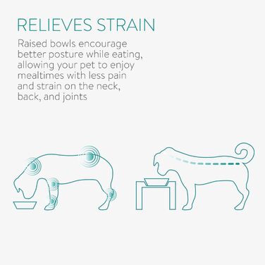 Набір мисок для тварин Navaris (2 шт) з металевим підставкою: для котів та собак, миється в посудомийній машині, нахилена миска, золото/чорний