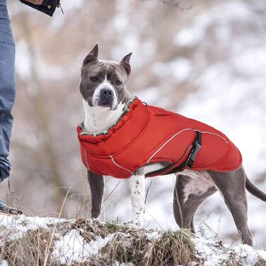 Водонепроникний зимовий теплий одяг для собак - куртка, жилет для чихуахуа, французького бульдога (Червоний, S)
