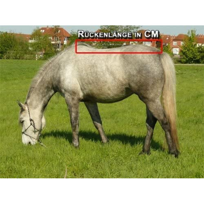 Зимова термоковдра для коня time4horses, високий комір, 200 г, 1200 ден, 125 см, водонепроникна аутдор ковдра