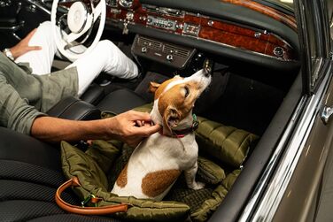 Чорничний собачий рюкзак Flying Dog Sunny 3-в-1: переноска, автокрісло та лежак для собак до 10 кг, оливковий колір