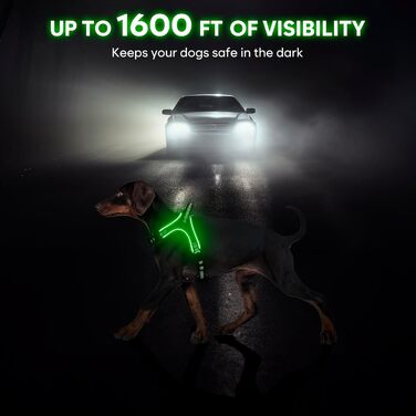 Світлодіодне обіднє світловідбиваючий нашийник для собак з ручкою, перезаряджається, для безпеки вночі, середніх та маленьких собак (L, Зелений)