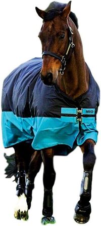 Зимова кінська попона Horseware Amigo Mio Turnout Medium, чорна/бірюзова, для пасовища
