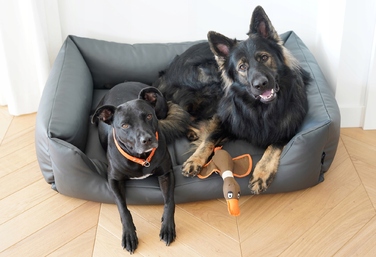 Текстильне ліжко для собак, сіре, 100 x 70 см, розмір 4L