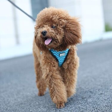 Нашийник для собак з повідком Anti-Pull, світловідбиваючий, для маленьких собак, кошенят, домашніх тварин (L, Blue Wave)