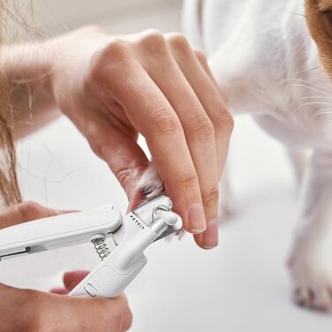 LED кусачки для нігтів домашніх тварин | Кусачки для нігтів собак та котів з підсвічуванням | Тример для нігтів для дому, подорожей та кемпінгу