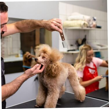 Гребінець для грумінгу собак та котів Sosoport 2St - щітка для вичісування шерсті, нержавіюча сталь