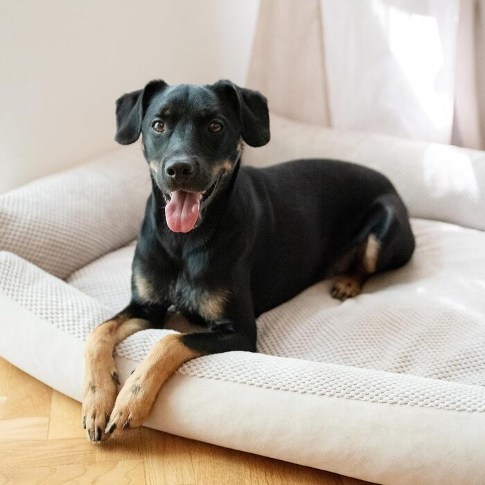 М'яке ліжко для собак 4L Textil Teo, бежеве, 100x80 см. Знімний та пральний чохол, корзина для собак середнього розміру, зручне собаче ліжко.