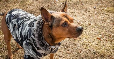 Зимовий собачий теплий халат Pet Life з металу та відстібаною капюшоном, з блискавкою. Собача куртка з ізоляцією 3M Thinsulate, зігріваюча технологія. Одяг для собак, малі породи (Зимовий камуфляж, X-Small)