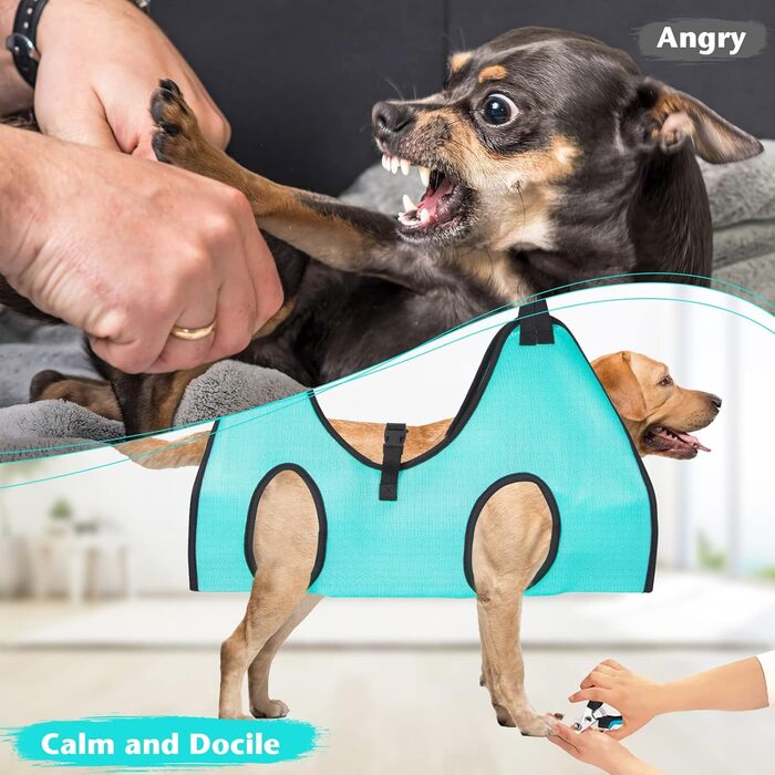 Гамак для грумінгу собак ATESON - гамачок для догляду за шерстю з підвіскою для стрижки нігтів (XXL до 54,4 кг), петля для обрізки нігтів, гамак для собак для стрижки нігтів з обрізачем XXL для великих собак 120 фунтів, зелений