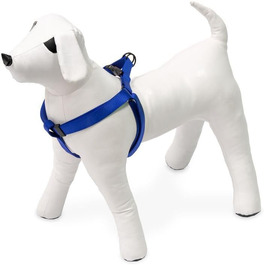 колір: блакитний