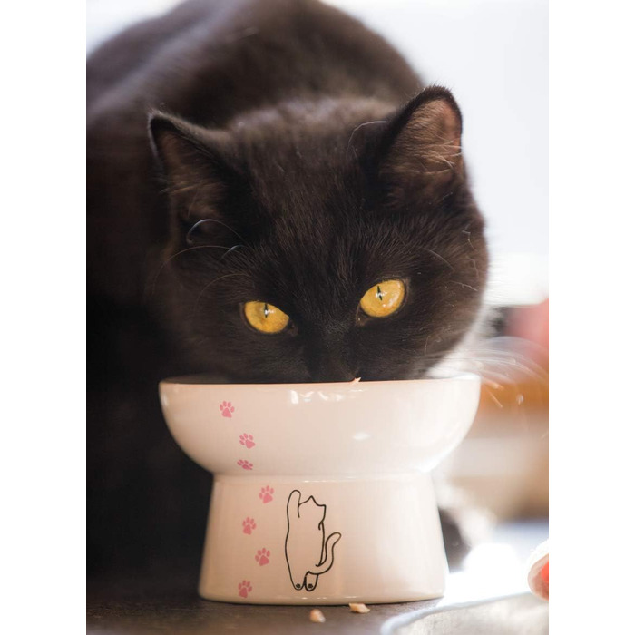 Підвищений годівниця для котів з порцеляни, антизворотний клапан, для вологого та сухого корму, безпечна та безстресова