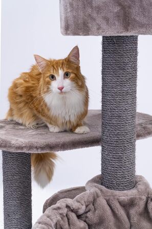 Котячий дерев'яний комплекс Petrebels Charlotte 134 см, преміум-якість, з гамаком, лежаком та будиночком, колір капучино