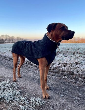 Теплий зимовий теплий одяг для собак EDEL&SCHNELL з вовни, чорного кольору з довгим коміром та світловідбиваючими елементами (60-65 см)