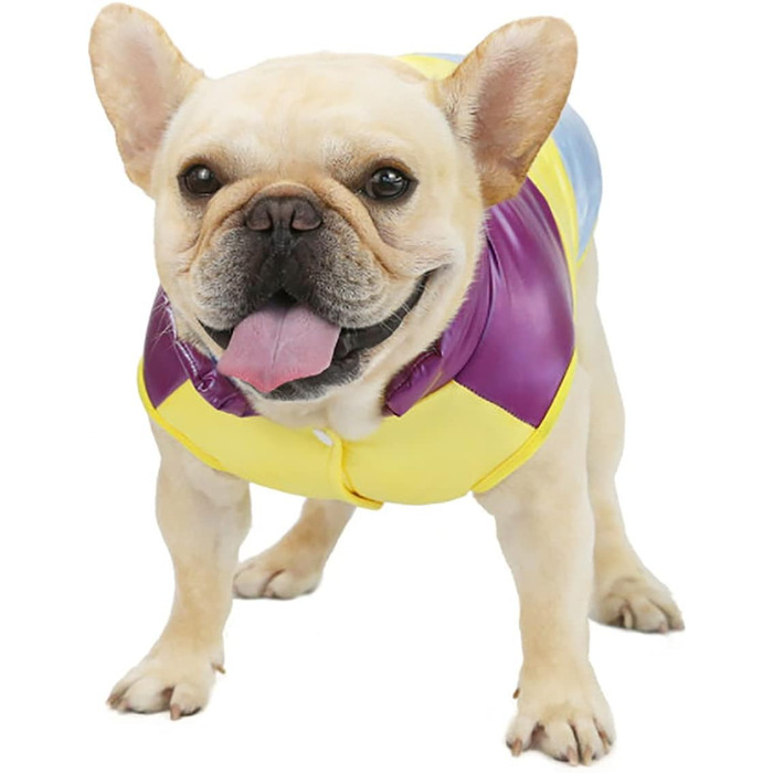 Теплий зимовий одяг для собак: куртка-вітровка з флісу для малих порід (бульдог, кіт) XL, 3 кольори (фіолетовий)