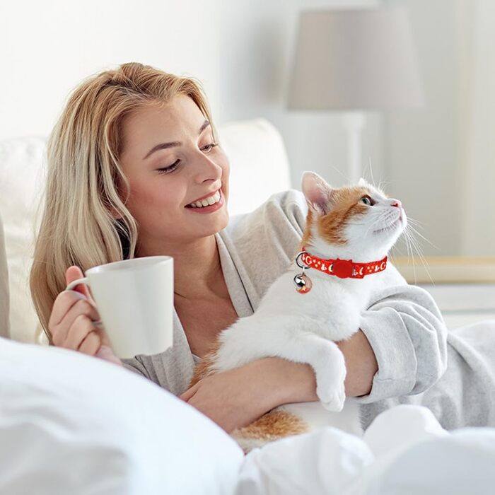 Нашийники для котів зі дзвіночком, світяться в темряві, регульовані, 20-33 см, червоний та фіолетовий, 2 шт.